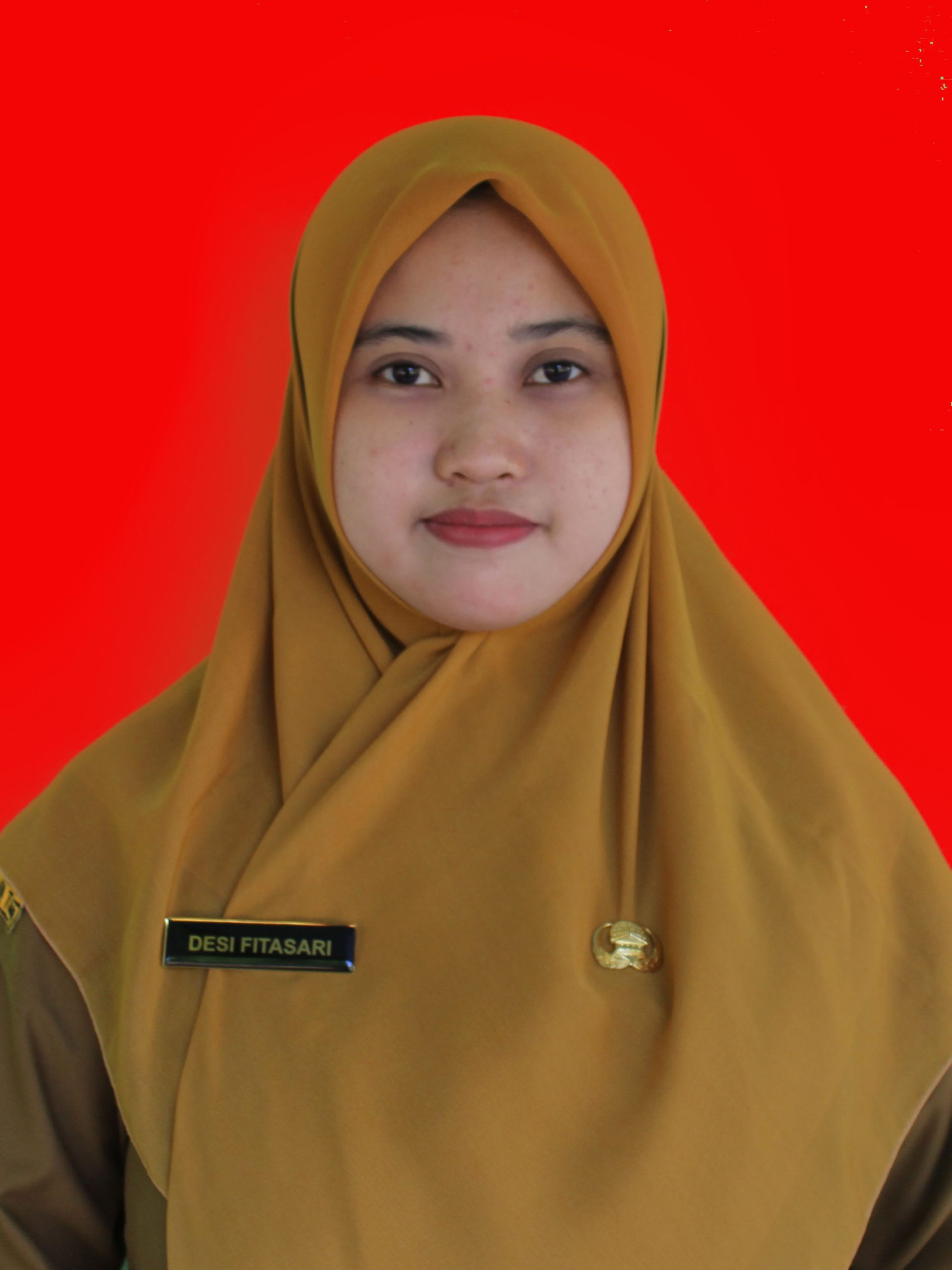 DESI FITASARI, S.Pd