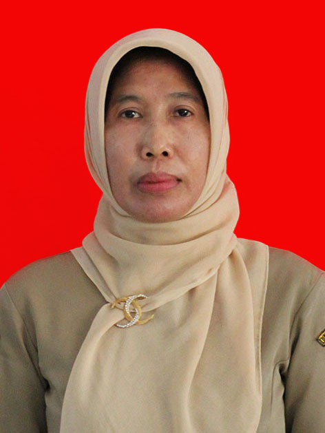 Dra. SRI NURAINI